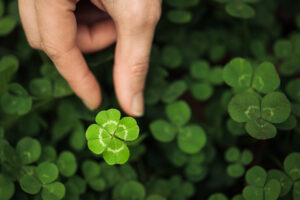 luck not needed in march with smart marketing strategy
