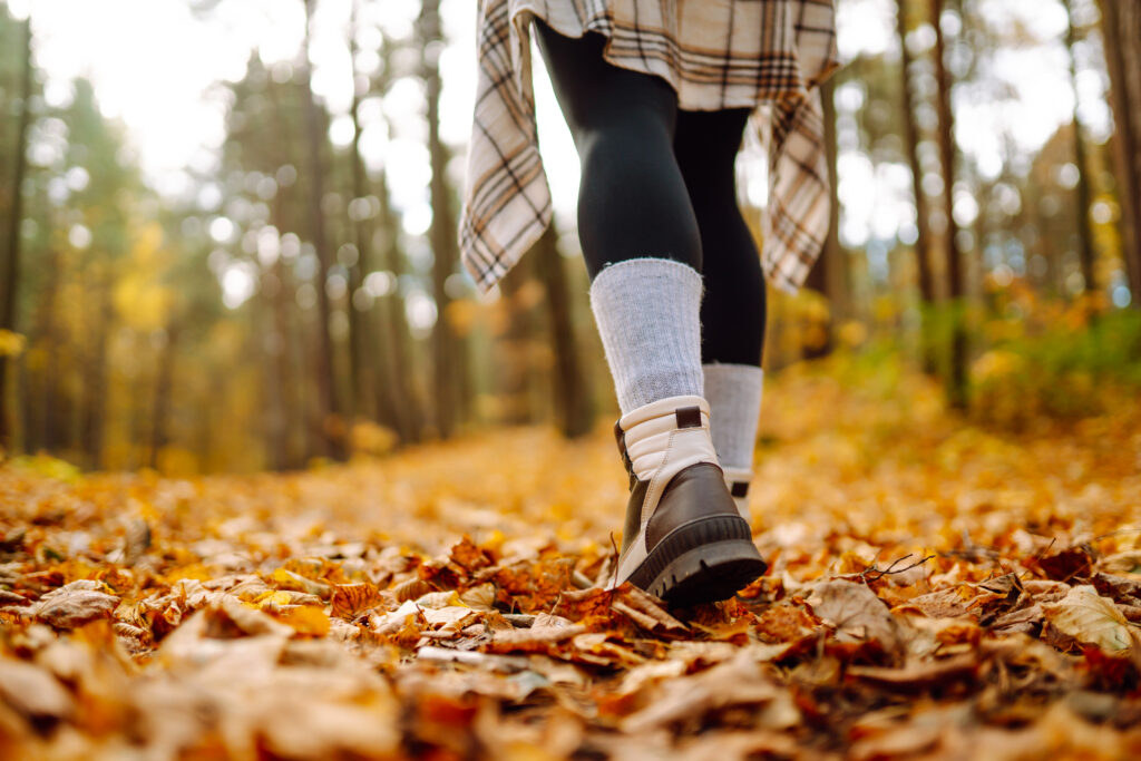 The fall rush of insurance sales and marketing